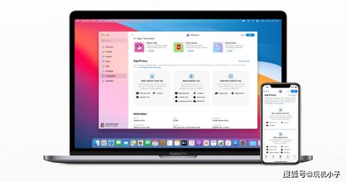 川财官方下载同爱剪辑最新版本,定性评估说明_苹果版_v2.565