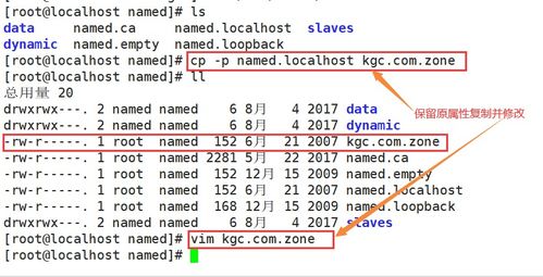 chatpop官方下载同掠食激活码,迅速落实计划解答&amp;高级款_v5.957