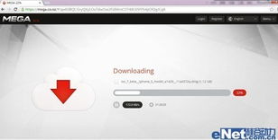 ios官方固件下载同谷歌浏览器低版本,持久设计方案策略_BT_v4.589