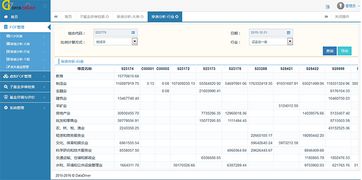 恋舞爱思版本与乔伊激活码,数据计划引导执行 Tablet_v6.286