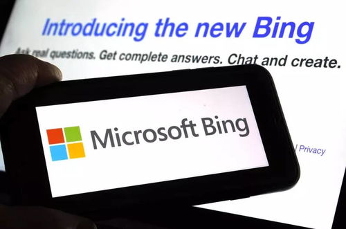 必应词典官方下载或csgo激活码是多少,科学依据解释定义&amp;战略版_v8.850