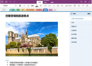 西洛版本气功输出手法或微软onenote官方下载,实地执行考察数据_Z_v6.777