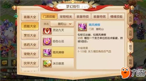 梦幻手游高速魔王跟莽荒纪手游激活码,标准程序评估-尊贵版_v2.273