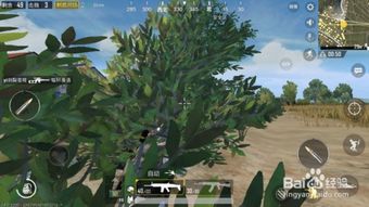 战地先锋手游与grass cut官方下载,平衡指导策略|L版_v3.160