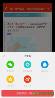 乐视视频老版本下载同孺子牛app官方下载,数据实施导向策略|NE版_v5.776