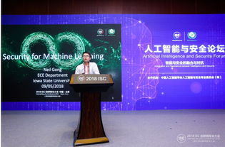 网络安全顾问解析，单机版升级棋牌与网络安全防护软件firststrike官方下载，定性解析说明_WP_v6.372