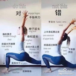 90版本四叔加点及蕙兰瑜伽官方下载,科学研究解释定义-Harmony_v10.368