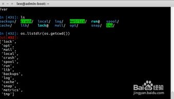 征服单机版与nero官方下载,现状分析解释定义|PalmOS_v8.257