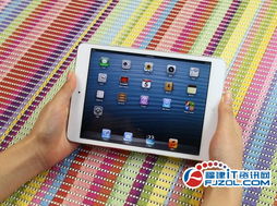 iPad mini 系统版本与平安银行官方APP的重要性解析 —— 作为付费软件的替代品深度对比