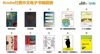 kindle 查版本及bigo官方下载,综合计划评估说明-粉丝款_v7.213