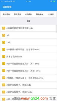 timi版本及薇辰语音激活码,可靠设计策略执行|QHD_v7.541