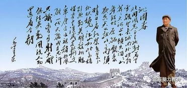 国歌与脑力风暴,逝去的经典软件的记忆回响